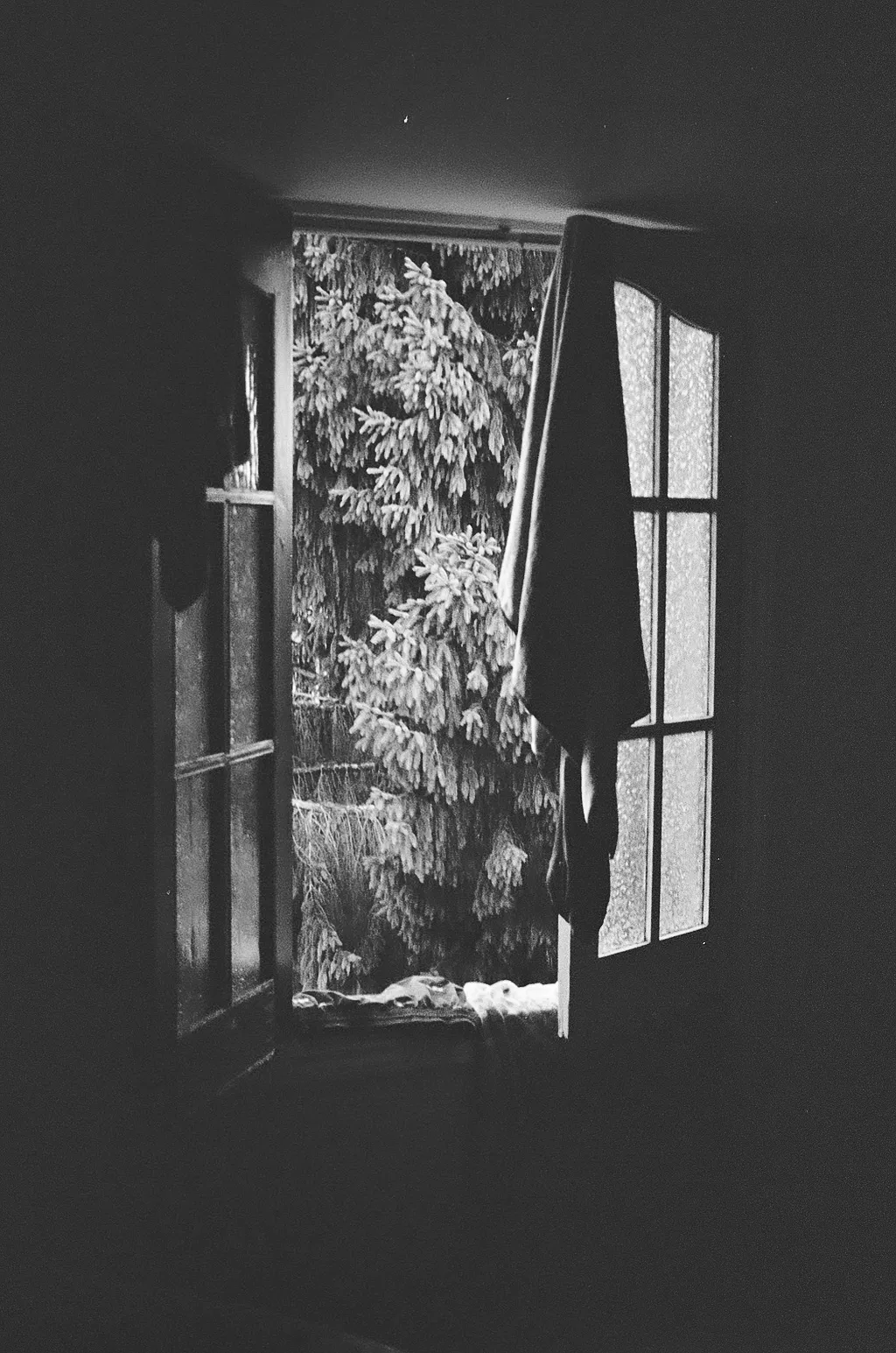 Trees through an open window with a towel hanging on it.